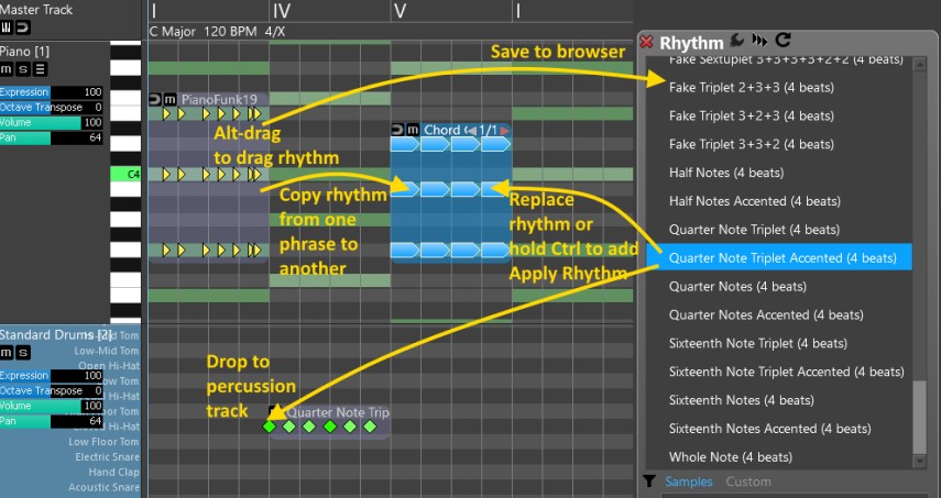 rapidComposer԰϶ѧ