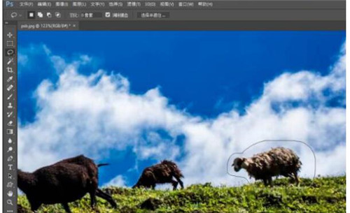 Adobe Photoshop CC2017İذװʹý̳