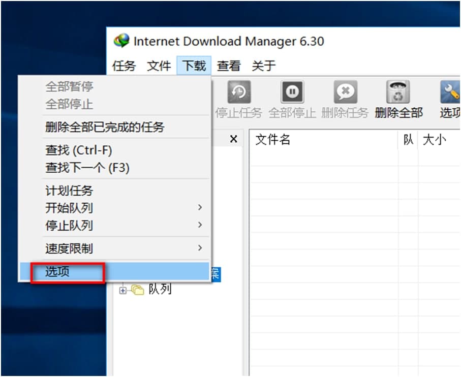 internetdownloadmanagerIDMʹ÷