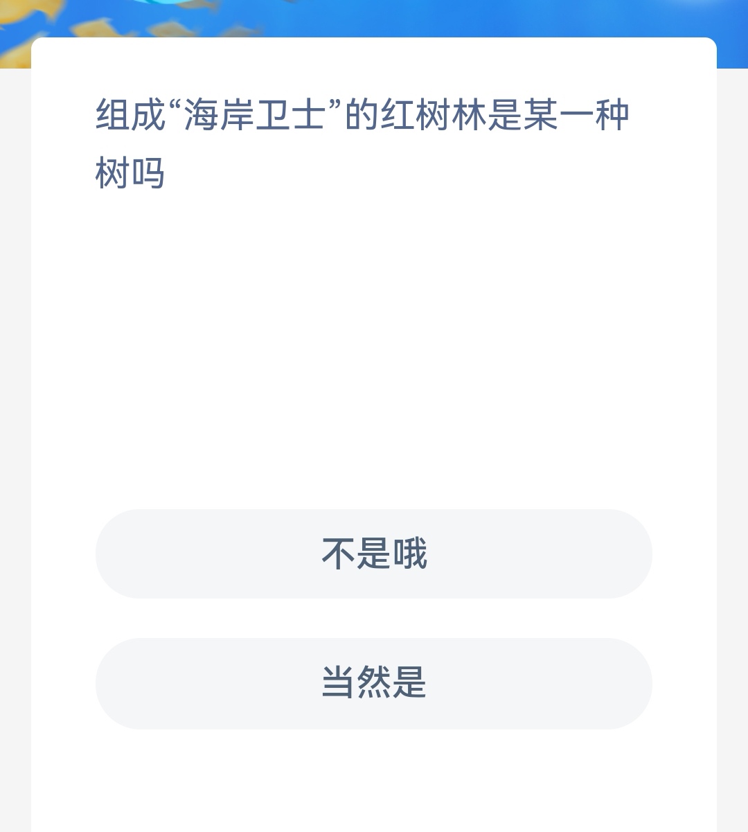 图:神奇海洋今日答案9.19 海岸卫士红树林是某一种树吗不是哦当然是